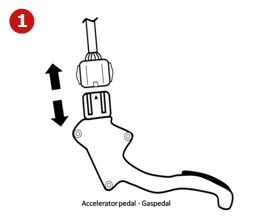 Step 1 Step 1